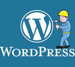 فعال کردن نمایش خطا در وردپرس