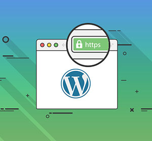 افزودن SSL و https در وردپرس