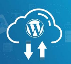 بکاپ گیری از دیتابیس وردپرس