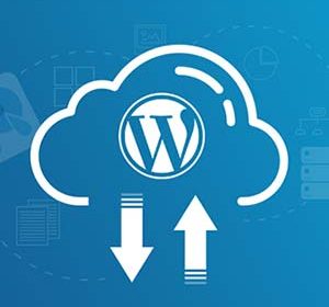 بکاپ گیری از دیتابیس وردپرس